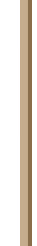 ion