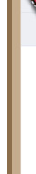 ion